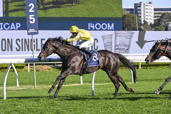 With Your Blessing claims victory in the Bill Ritchie Handicap at Randwick. Photo: bradleyphotos.com.au 