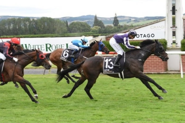 Witz End winning the Listed Property Brokers – Ray Kean Hazlett Stakes (1400m) at Wingatui on Saturday.  Photo: Tayler Strong (Race Images)