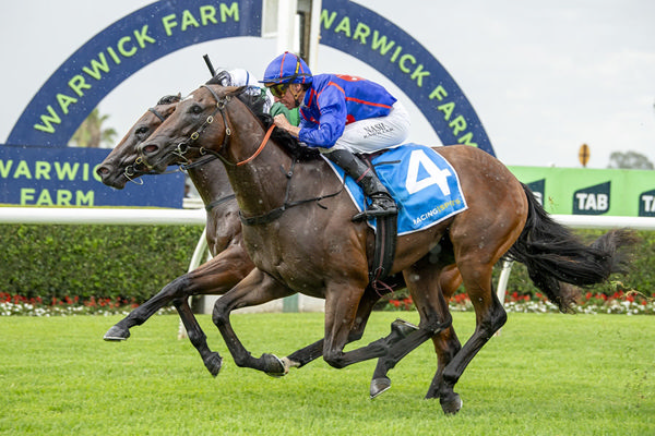 Wolf Gap (Outside) Gets The Better Of The Favourite To Win On Debut - Image Bradley Photos