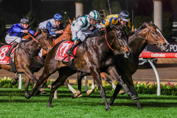Wolflands gets the cash at Moonee Valley - image Pat Scala / Racing Photos