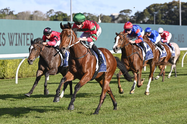 Wollzeile wins at Randwick - image Bradley Photography