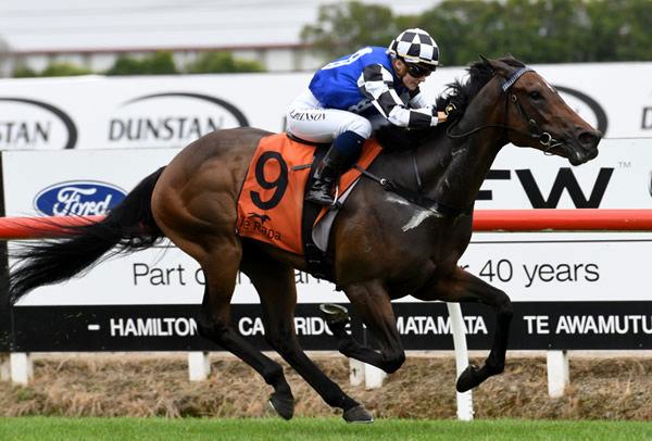 Danielle Johnson guides Wolverine to an outstanding victory in the Gr.2 Hiddenbed Wakefield Challenge Stakes (1100m) at Te Rapa Photo: Race Images – Kenton Wright