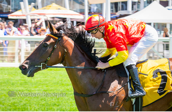 Wonderfully Made is a filly on the up - image Western Racepix