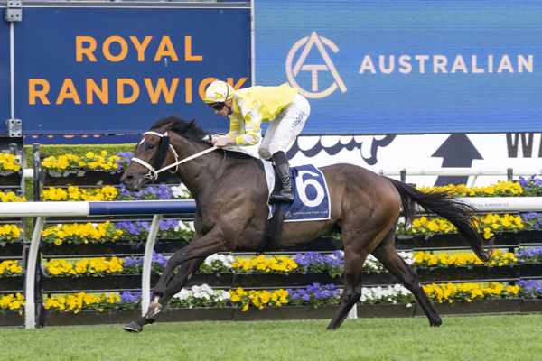 Wootton Verni (Fr) wins the G3 Rosehill Gold Cup - image Bradley Photos