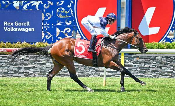 Written Perfect wins by four at Geelong - image Reg Ryan / Racing Photos