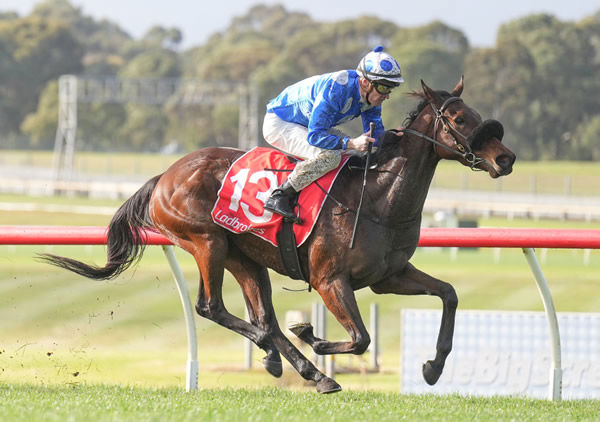 Wrote of Arataki winning at Sandown on Wednesday. Photo: Scott Barbour (Racing Photos)