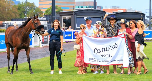 Wrote to Arataki has some happy connections - image Grant Courtney