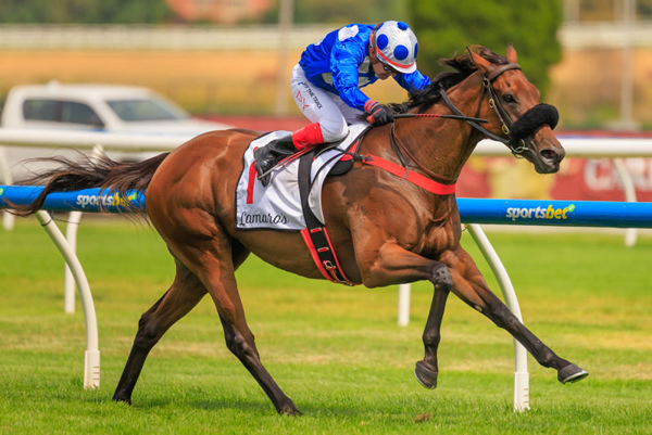 Wrote to Arataki wins her second G3 Geoffrey Bellmaine Stakes - image Grant Courtney