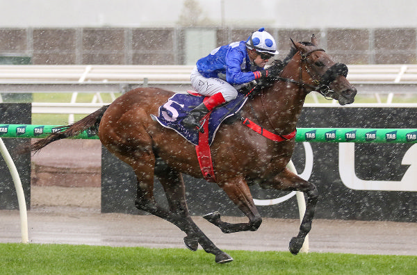 Wrote To Arataki taking out the Gr. 3 VRC Frances Tressady Stakes. Photo: Bruno Cannatelli