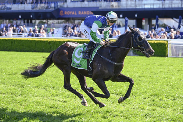 Wuddzz powers through the heavy track for a commanding win at Randwick. Photo: bradleyphotos.com.au