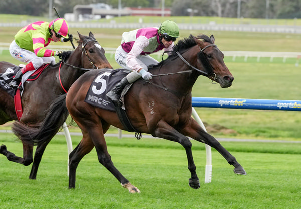 Yamashita's Gold gets the win at Sandown - image George Sal / Racing Photos