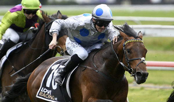 Yamato Satona winning the Green Light Insurance Brokers (1400m) at Arawa Park on Sunday.   Photo: Kenton Wright (Race Images)