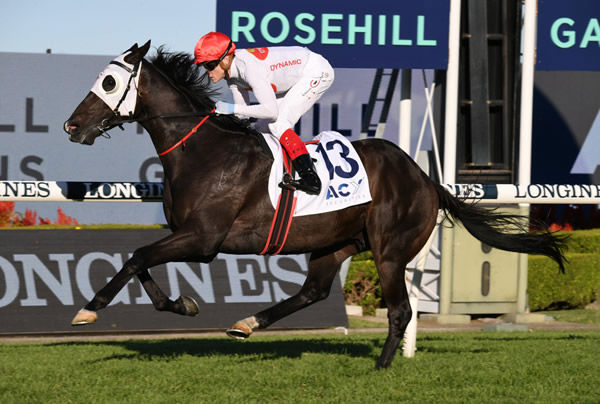 Yao Dash wins the G3 Doncaster Prelude - image Steve Hart. 