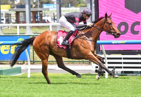 Yes Lulu opens her account at Caulfield - image Pat Scala / Racing Photos