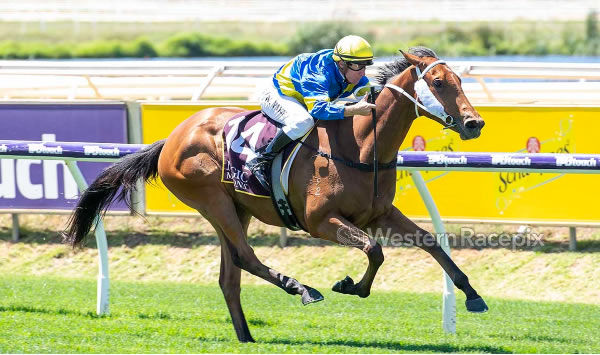 Yes Queen wins the Crystal Slipper on debut - image Western Racepix