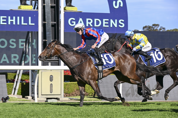Yorkshire wins the G3 Festival Stakes - image Bradley Photos