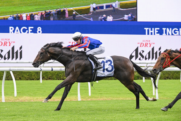 Yorkshire hits top gear in the G2 The Ingham - image Bradley Photos