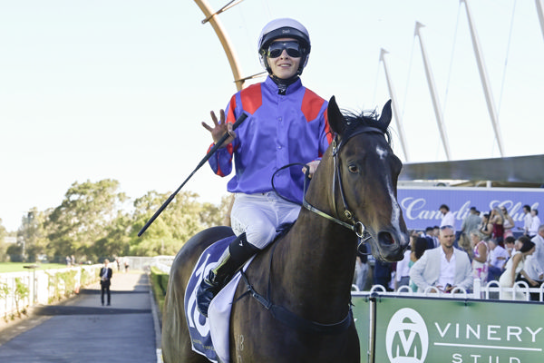 Yorkshire has won seven of 10 starts - not easy to do - image Bradley Photos 