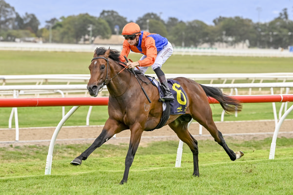 Young Mister Grace makes it two wins from two starts - image Bradley Photos