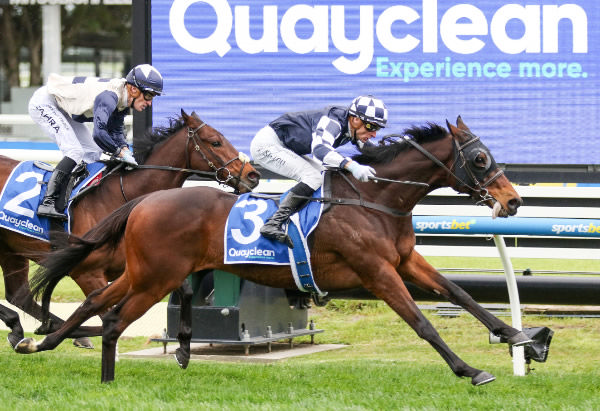 Young Werther beats Duke De Sessa in the Quayclean Handicap at Caufield Photo: Bruno Cannatelli