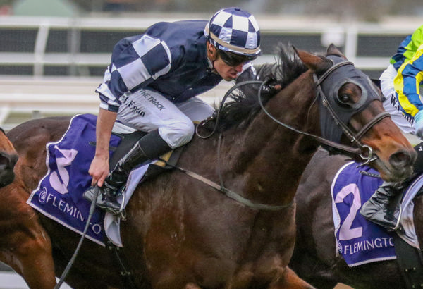 Billy Egan drives Young Werther to a narrow victory at Flemington on Saturday Photo: Bruno Cannatelli