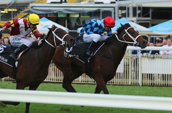 G1 winner Youngstar won over $1million in prizemoney.