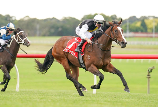 Yowie wins with ease at Sandown - image Scott Barbour / Racing Photos