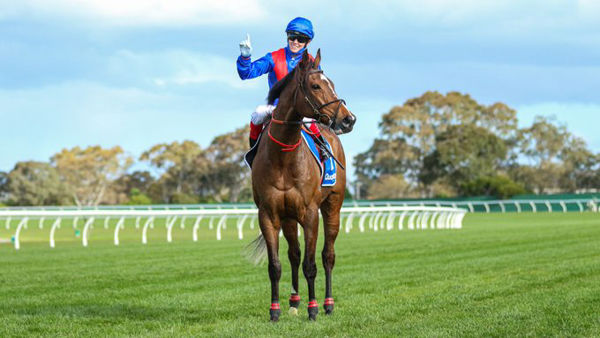 What a horse (image Racing Photos)
