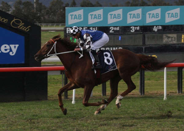 Zaphod opens his account at his first Australian start - image Scone Race Club Twitter 