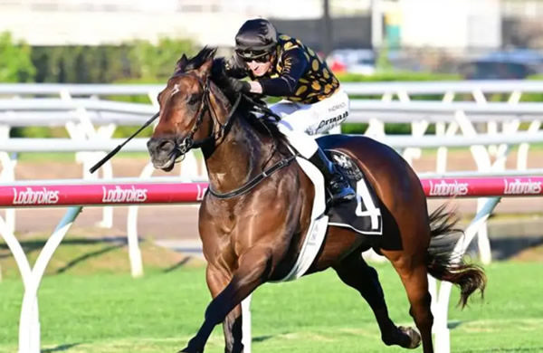 Zarastro started life as a $1,050,000 Magic Millions purchase! 