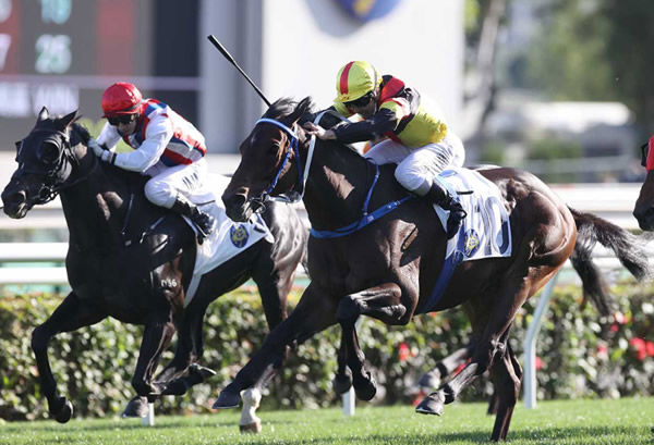 Zebrowski wins G3 Centenary Vase - image HKJC