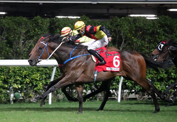 Zebrowski breaks the ice in Hong Kong - image HKJC