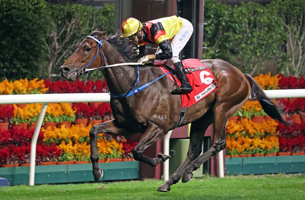 Zebrowski wins the G3 January Cup -image HKJC