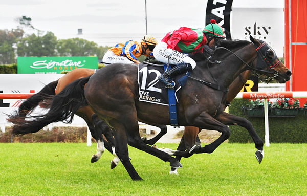 Zecora snatches victory on the line in the Gr.3 J Swap Sprint (1400m) at Te Rapa on Saturday. Photo: Kenton Wright (Race Images)