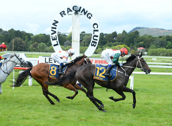 Zee Falls winning the Gr.3 Lucia Valentina Wellington Stakes (1600m). Photo: Grant Matthew (Race Images Palmerston North)