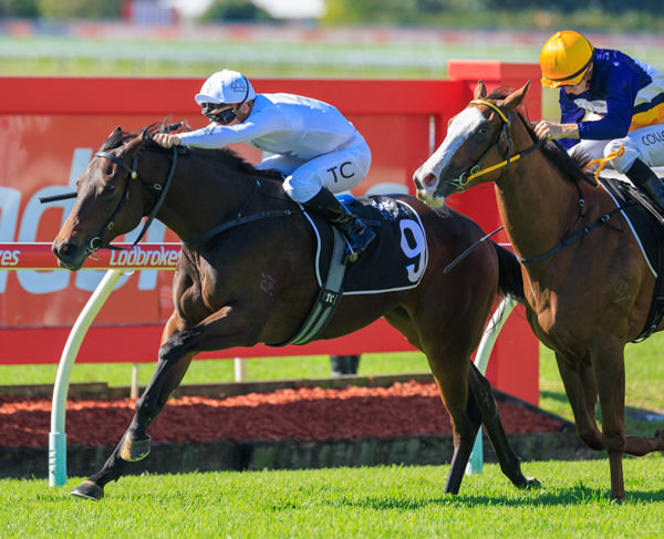 Zia wins the Listed Bill Carter Stakes - image Grant Courtney