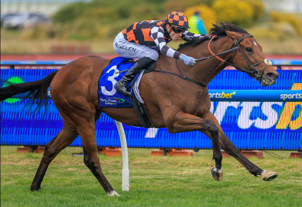 Zou Sensation wins his first stakes race - image Grant Courtney