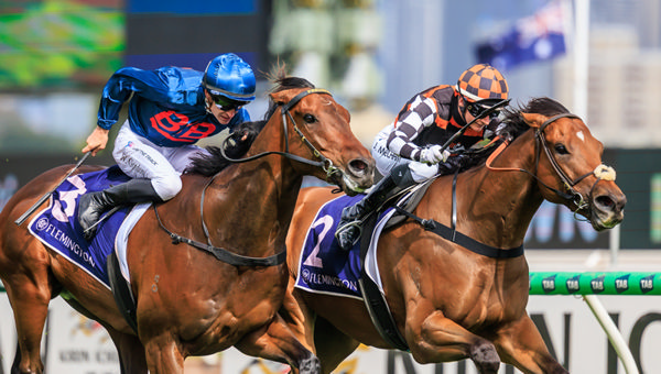 Zou Sensation edges out Steparty at Flemington - image Grant Courtney