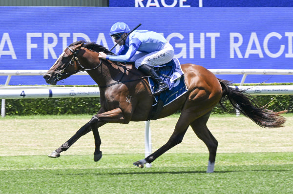 Zoubaby wins in style at Randwick - image Steve Hart