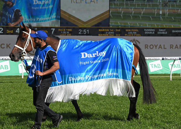 Zougotcha wins the G1 Flight and the Princess Series - image Steve Hart 