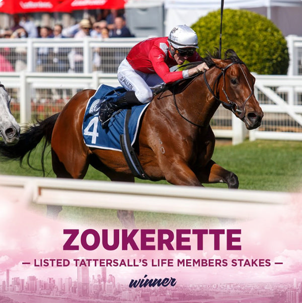 Zoukerette a new SW for I Am Invincible image Racing Qld
