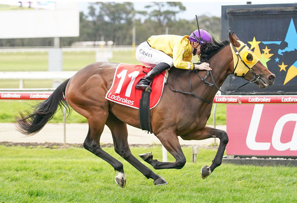 Zoumon makes it two wins from three starts at Moe - image Scott Barbour / Racing Photos.