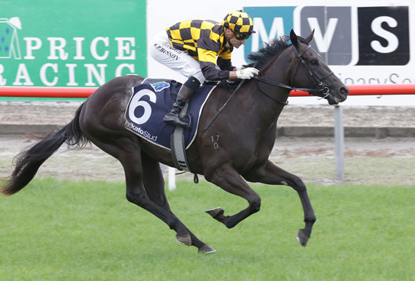 Opie Bosson and Zourion cruise home to win the Gr. 2 J Swap Contractors Ltd Matamata Breeders’ Stakes (1200m) at Matamata Photo: Trish Dunell