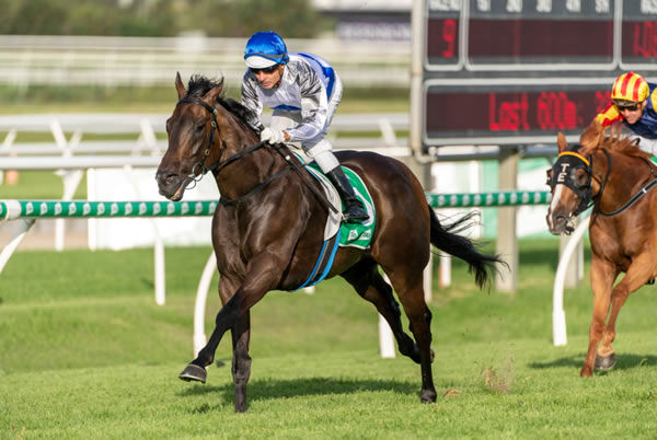 Zoustyle wins the G3 George Moore - image Racing Queensland Twitter