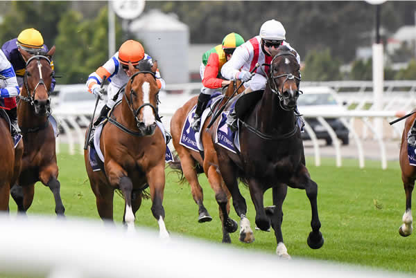 Zoutori wins the G2 VRC Gilgai Stakes - image Pat Scala / Racing Photos