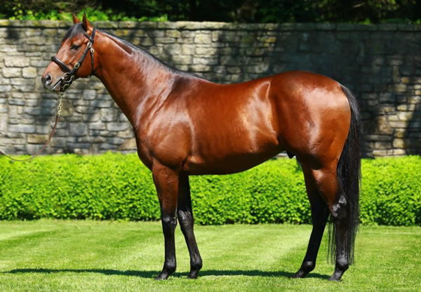Air Force Blue has sired his first winner