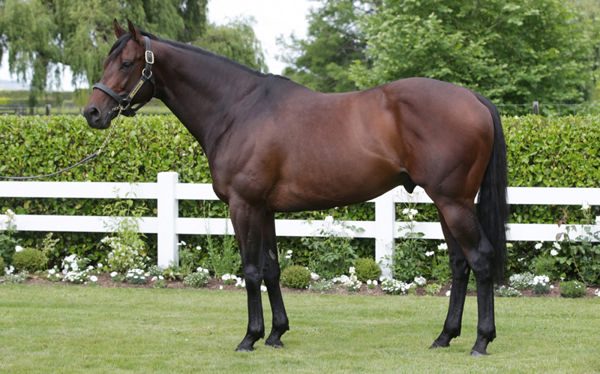 Almanzor (Fr), click for more info.