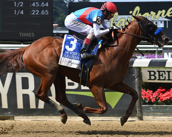 First Son of Justify Retired to Stud Breednet