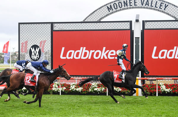 Armory surges into second place in the G1 Cox Plate behind Sir Dragonet - image Natasha Morello / Racing Photos.