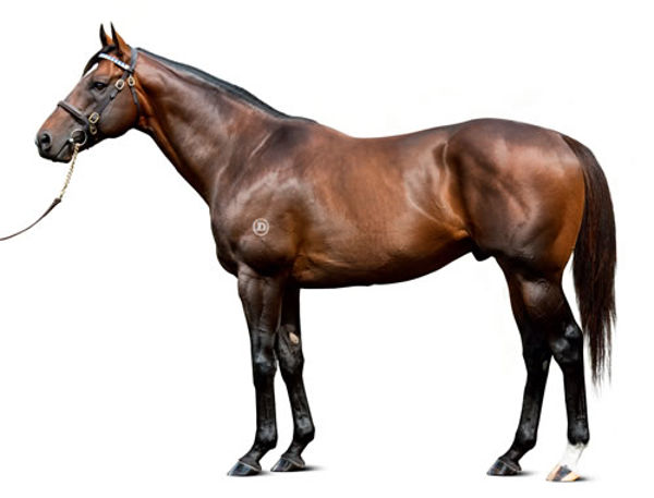 Astern becomes the fifth first crop stallion to sire a stakes-winner